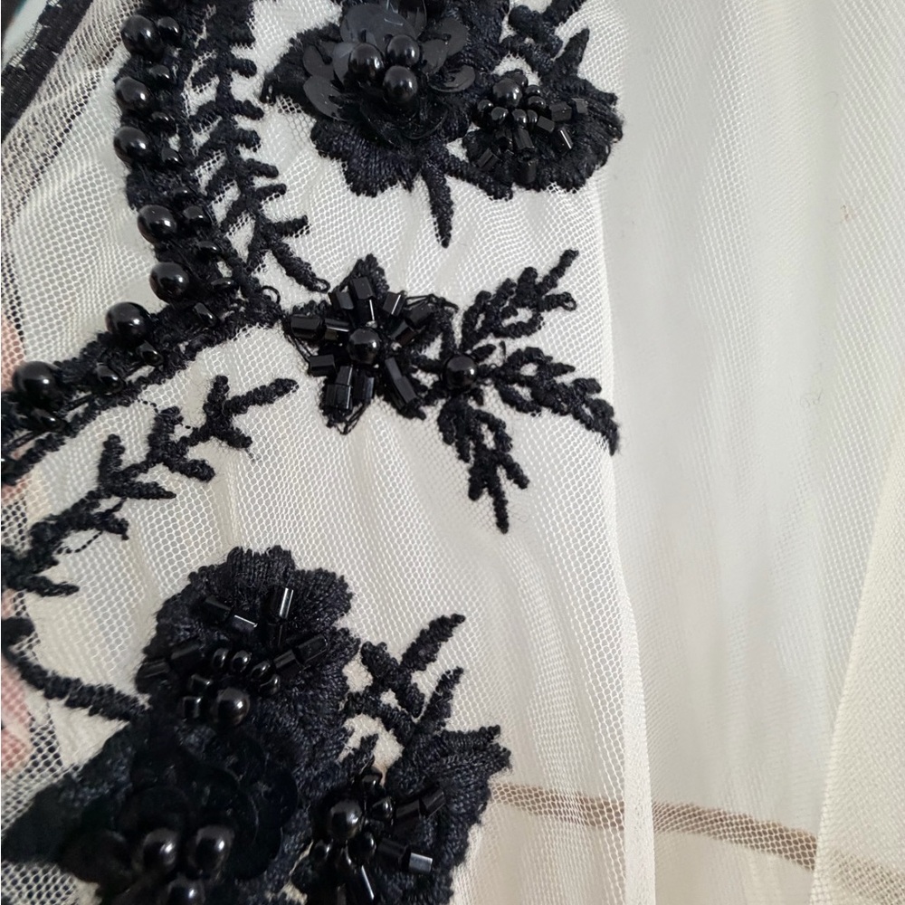 Vineet Bahl Sheer Cream Maxi Dress with Black Lace Embroidery and Embellishment - Picture 2 of 6